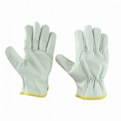 Driving Gloves (Unlined)